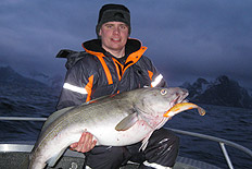 25 kilos torsk