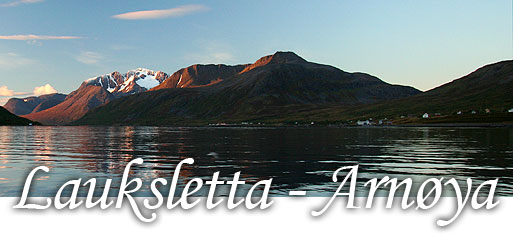 Lauksletta - Arn&oslash;ya