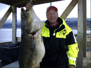 Birger Svensson, torsk 31 kg