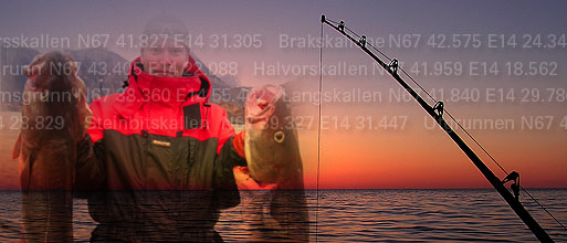 S&auml;songen &auml;r i full g&aring;ng!