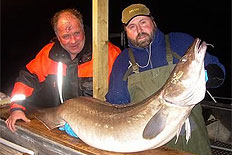 Bernt Bl&auml;ttrich, l&aring;nga 40 kilo