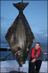 Stefan L&uuml;hering med h&auml;lleflundra 194 kilo.