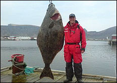 H&auml;lleflundra 122 kilo, f&aring;ngad av Daniel Bostedt.