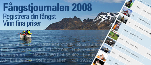F&aring;ngstjournalen 2008