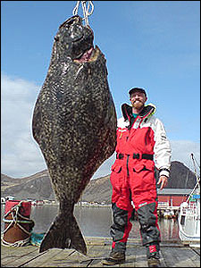 S&oslash;ren Beck med flundra p&aring; 202 kilo.