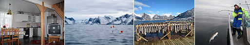 Mefjordbilder