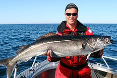 Micke med sej 15,4 kilo