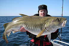 David med torsk p&aring; 25,5 kilo