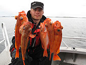 David med uerf&aring;ngst