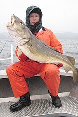 Torsk p&aring; 14-kilos strecket