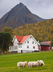 Skjaerstad G&aring;rd