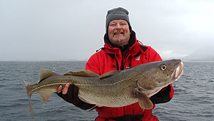 Uffe med torsk