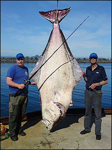Hans Olov Nilsson till v&auml;nster med flundra p&aring; 211,5 kilo