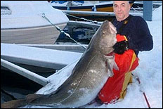 Marc van Roie med torsk p&aring; 39 kilo.