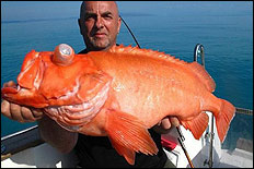 Marc van Roie med uer p&aring; 8,5 kilo.