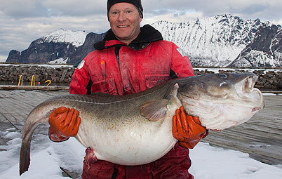 Mice med torsk p&aring; 35,02 kilo.