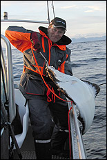 Micke med h&auml;lleflundra