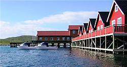 Nordic Safari Wildlife Adventure, Mehamn