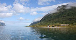 Lauksundet Fishing
