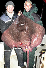 Svartbuksrocka p&aring; 23,25 kilo