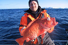 Kungsfisk, 3,8 kilo f&aring;ngad av Casper Christensen