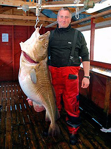 Manfred M&uuml;ller med torsk p&aring; 41 kg