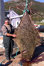 Johnny Braata med storflundra