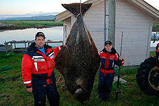 190 kg flundra f&aring;ngad av Johannes Lindgren