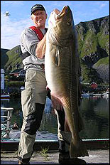 Esben Andersen med torsk p&aring; 34,68 kilo