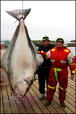 Stefan Johansson med flundra p&aring; 143 kilo
