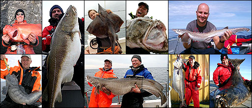 F&aring;ngstjournalen