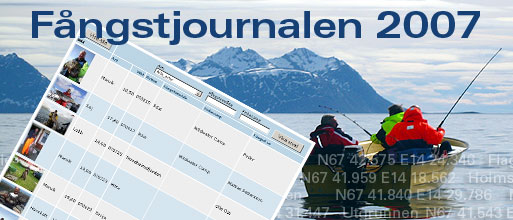 F&aring;ngstjournalen