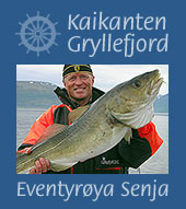 Kaikanten - Gryllefjord