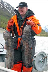 H&ouml;gklassiskt kattfiske