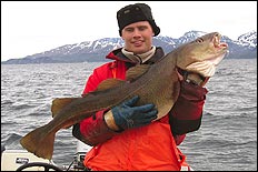 Torsk p&aring; 17 kg