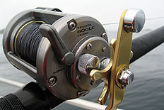 Shimano Tekota 600LC